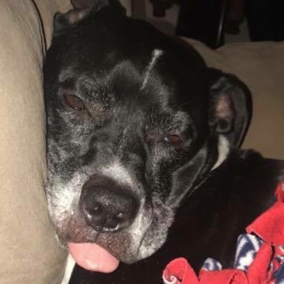 Meet your Posher, Daniel - Picture 1 of 1